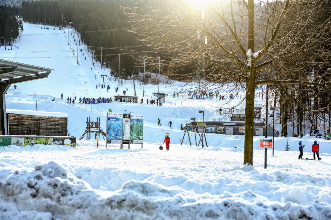 Chata U Vleku Kouty Nad Desnou Loučná nad Desnou Extérieur photo